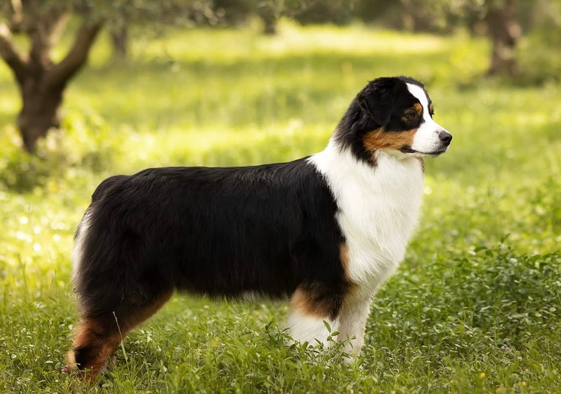 Kodaline Undisclosed desire